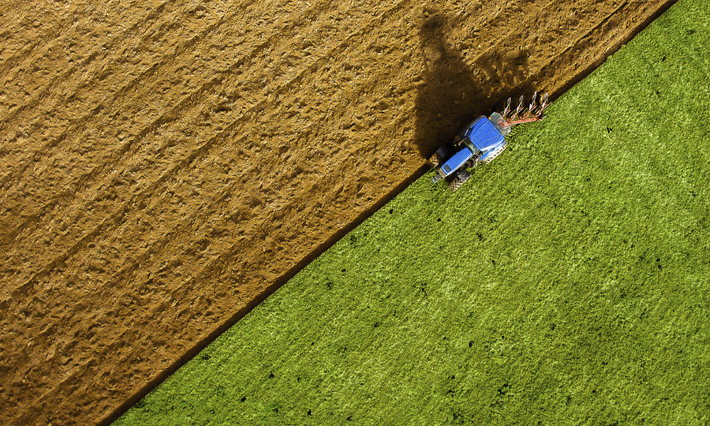 Building Agribusiness Resilience