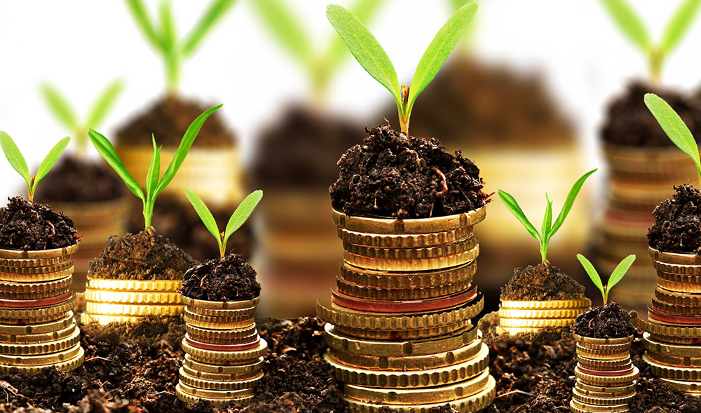 ESG:  Tick-box exercise or a true risk differentiator?