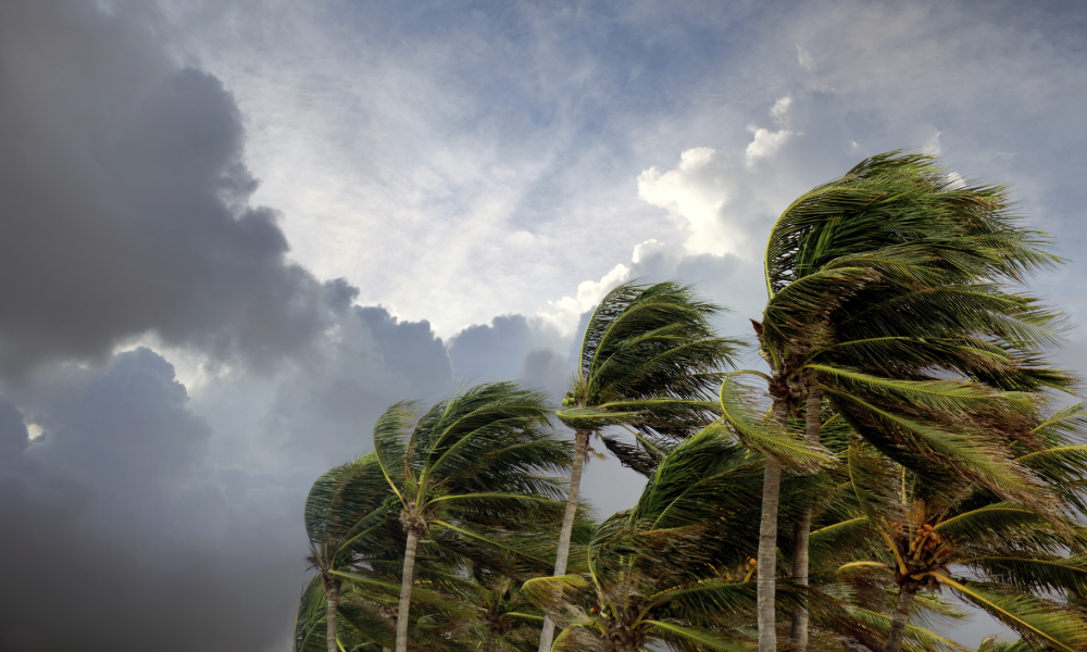 Protecting Your Home from Severe Weather 