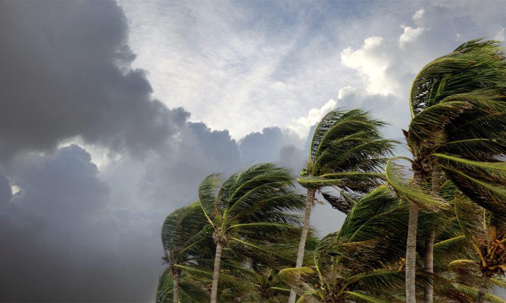 Extreme Weather and Your Business