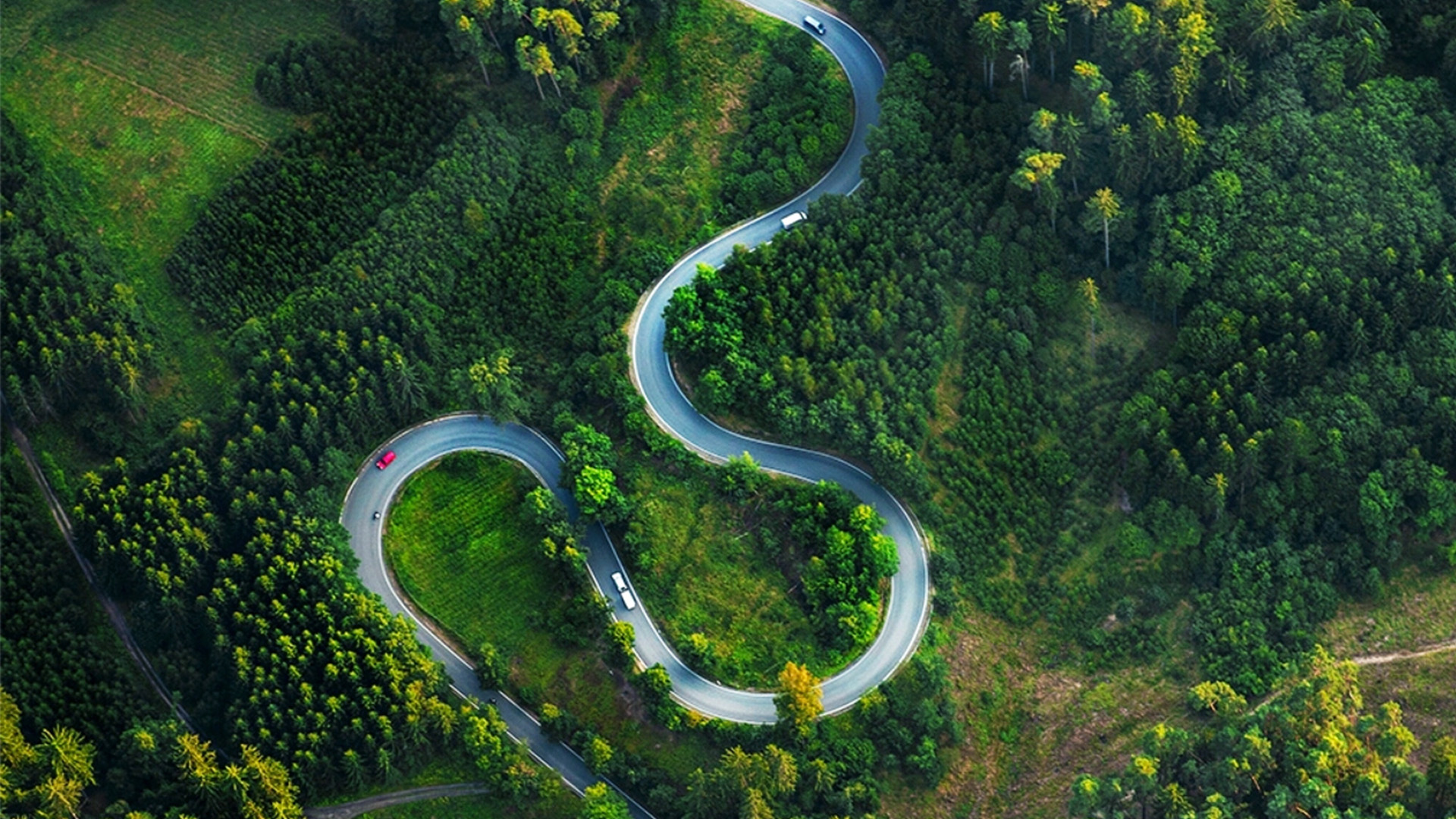 Surety, Bonds and Guarantees 101