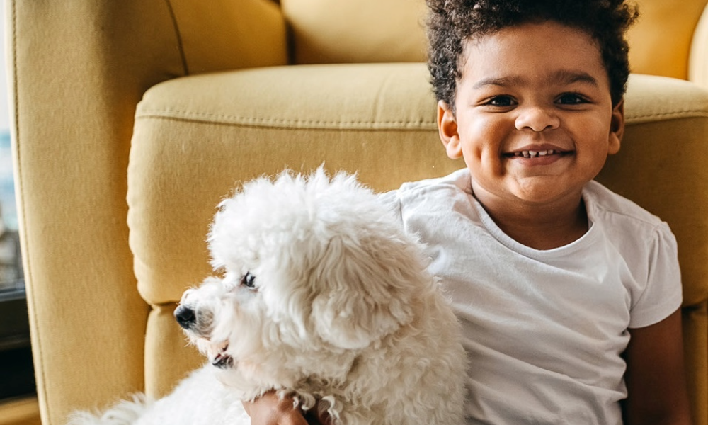 The Importance of Pet Insurance 