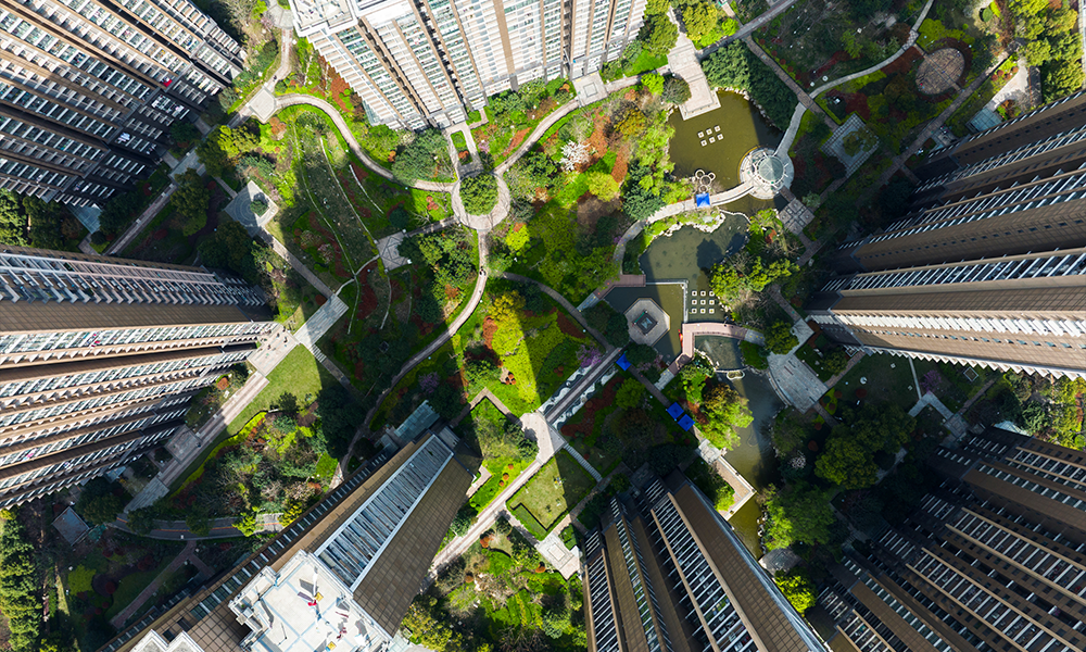 Construction Insurance and Surety Market Outlook